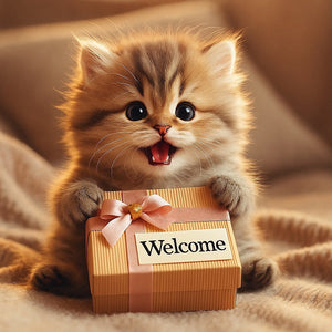 Your Gabrielsen Academy Welcome Package