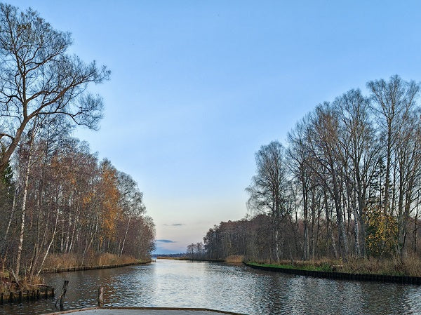 Unlock the Magic of the North with